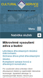Mobile Screenshot of cultural-service.cz